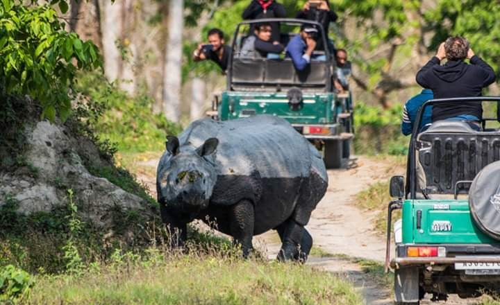 Group Tour: 7-Day Meghalaya + Kaziranga Wildlife Expedition