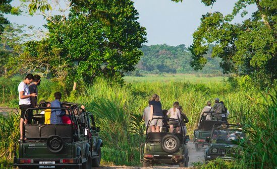 Group Tour: 7-Day Meghalaya + Kaziranga Wildlife Expedition